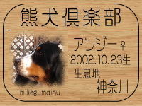 �I�[�i�[�́Alozy����ł���